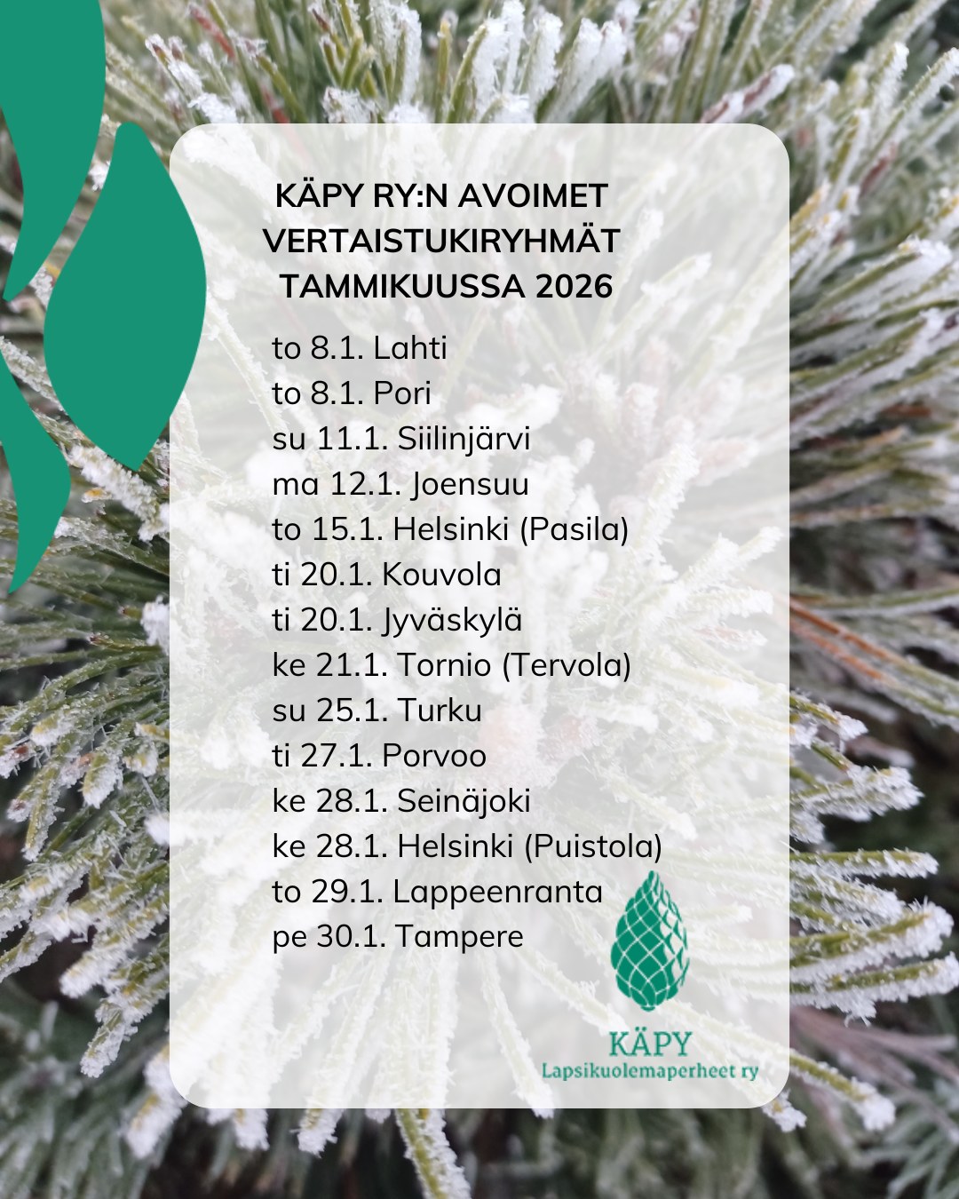 Käpy - Käpy ry:n avoimet vertaistukiryhmät tammikuussa 2026 Tule ...