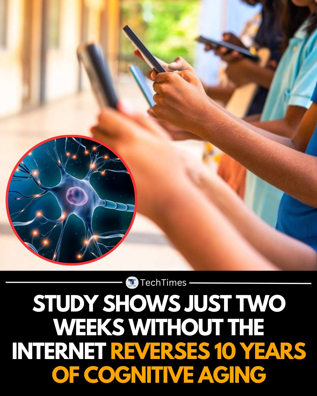 TechTimes - A recent randomized controlled trial found that limiting ...