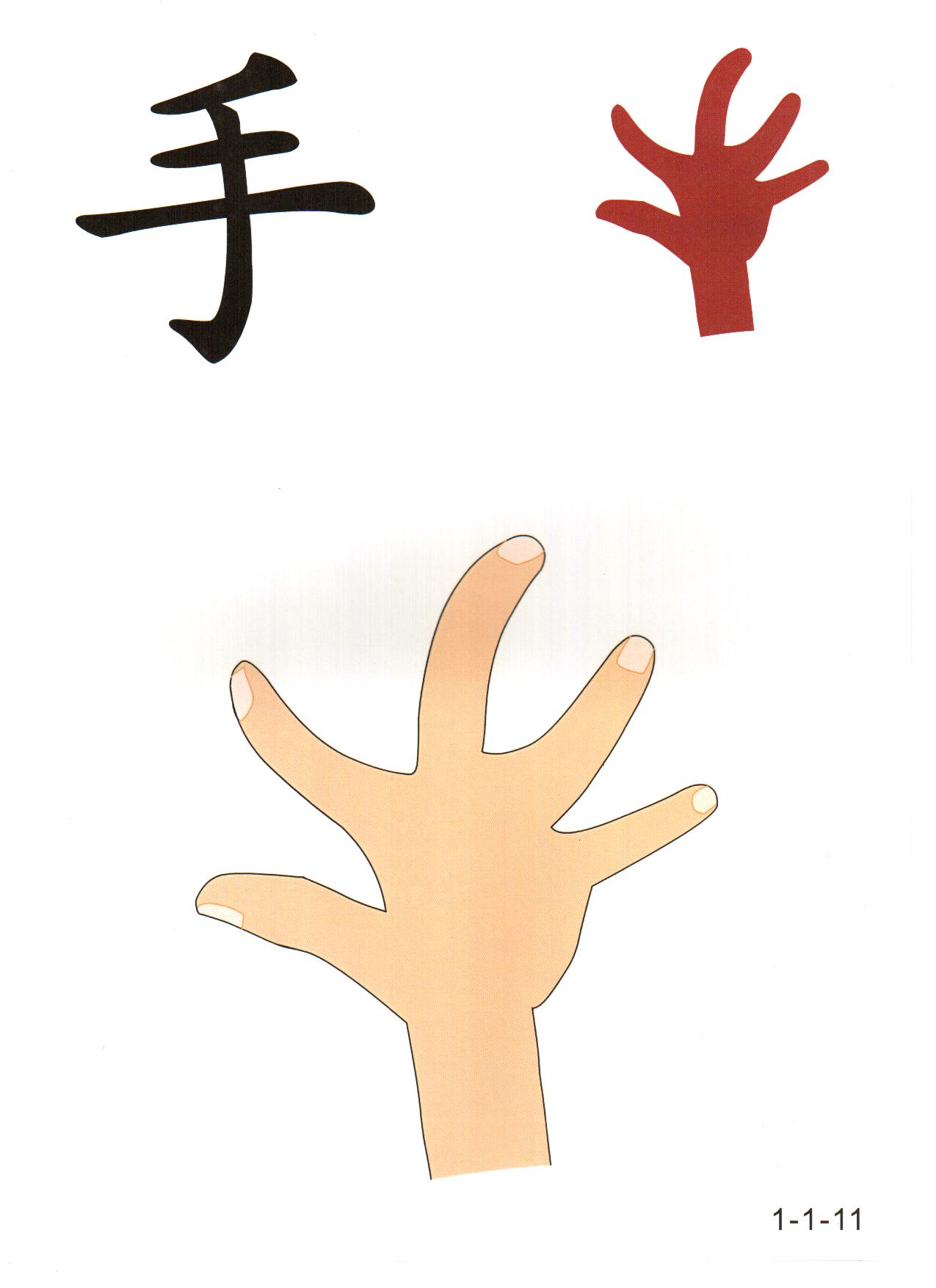 Lezioni di Cinese con Miao 苏老师的中文课 | Treviso