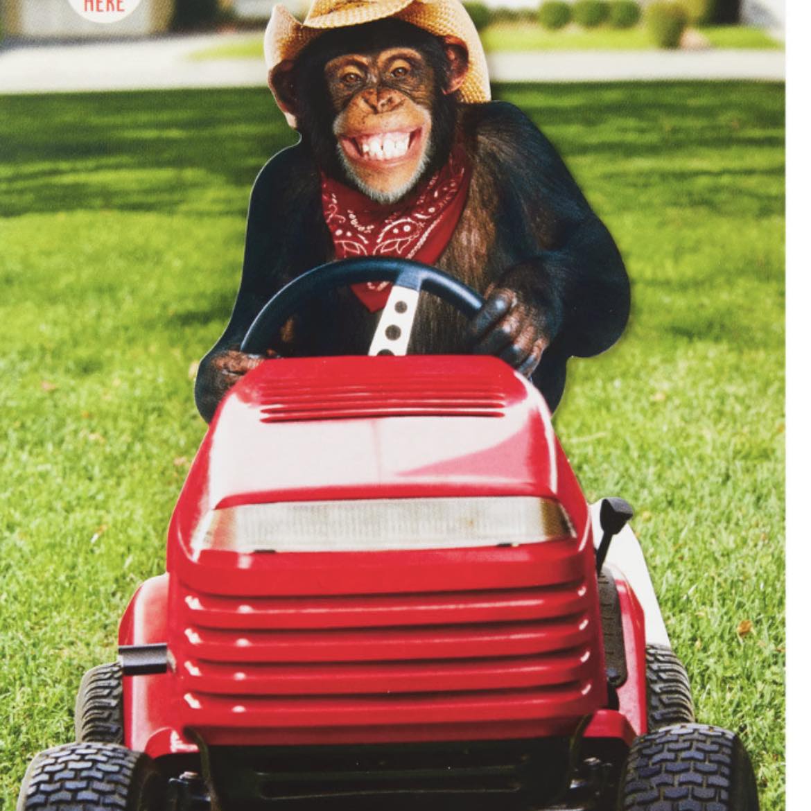 Mower Monkey