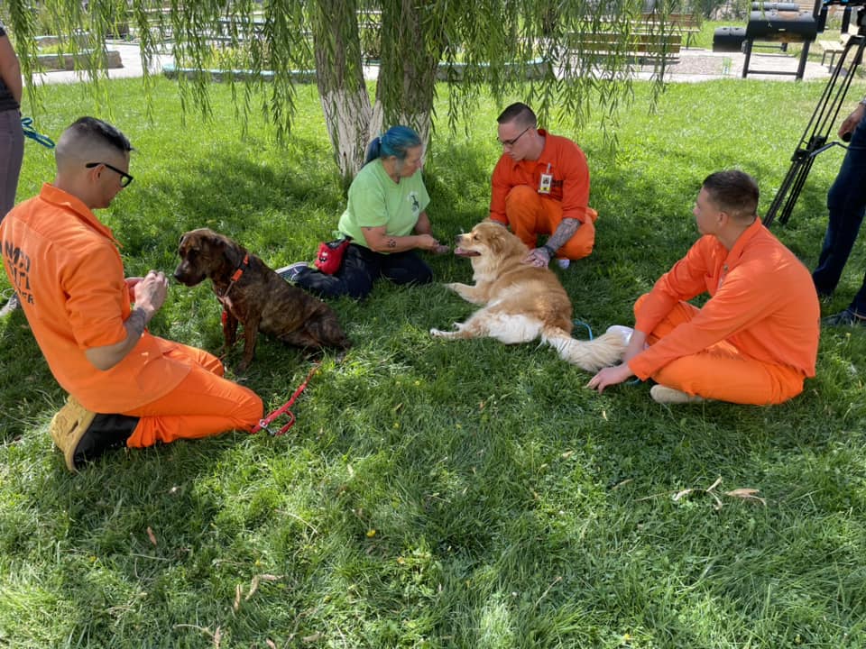 Española Humane Espanola NM