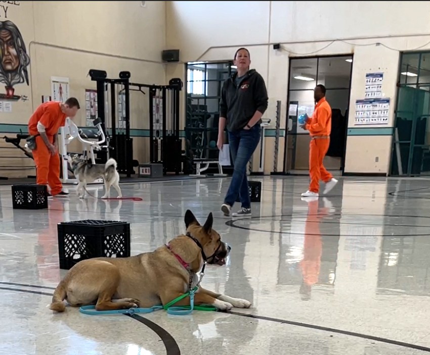 Española Humane Espanola NM