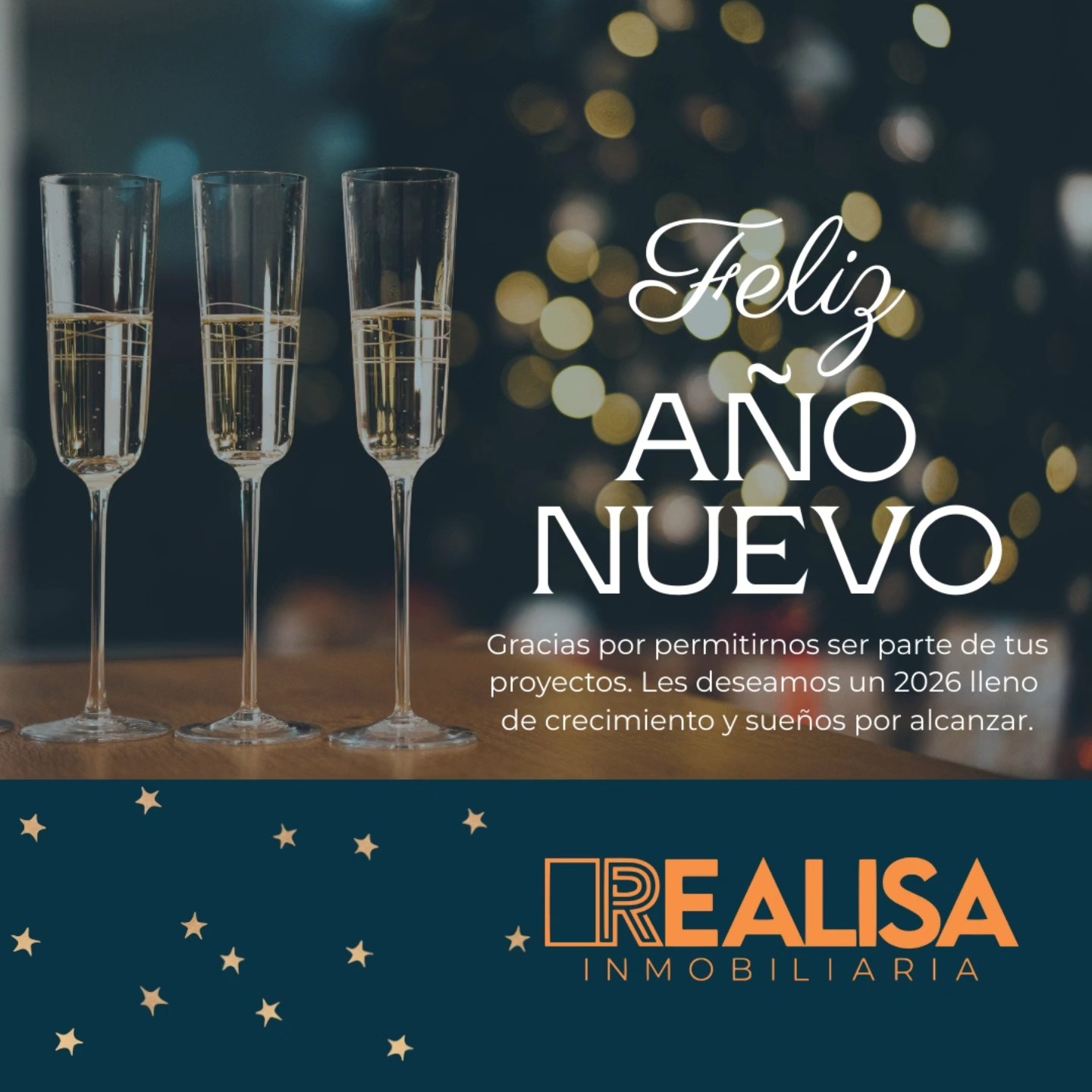 Realisa Inmobiliaria