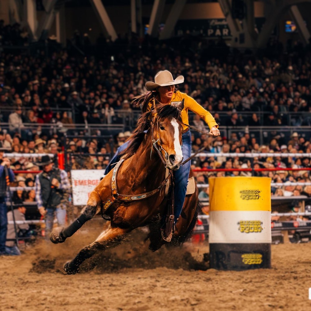 PBR Rodeo Fans - 🤠🐂 Rodeo is Back at Petco Park!🔥 The San... | Facebook