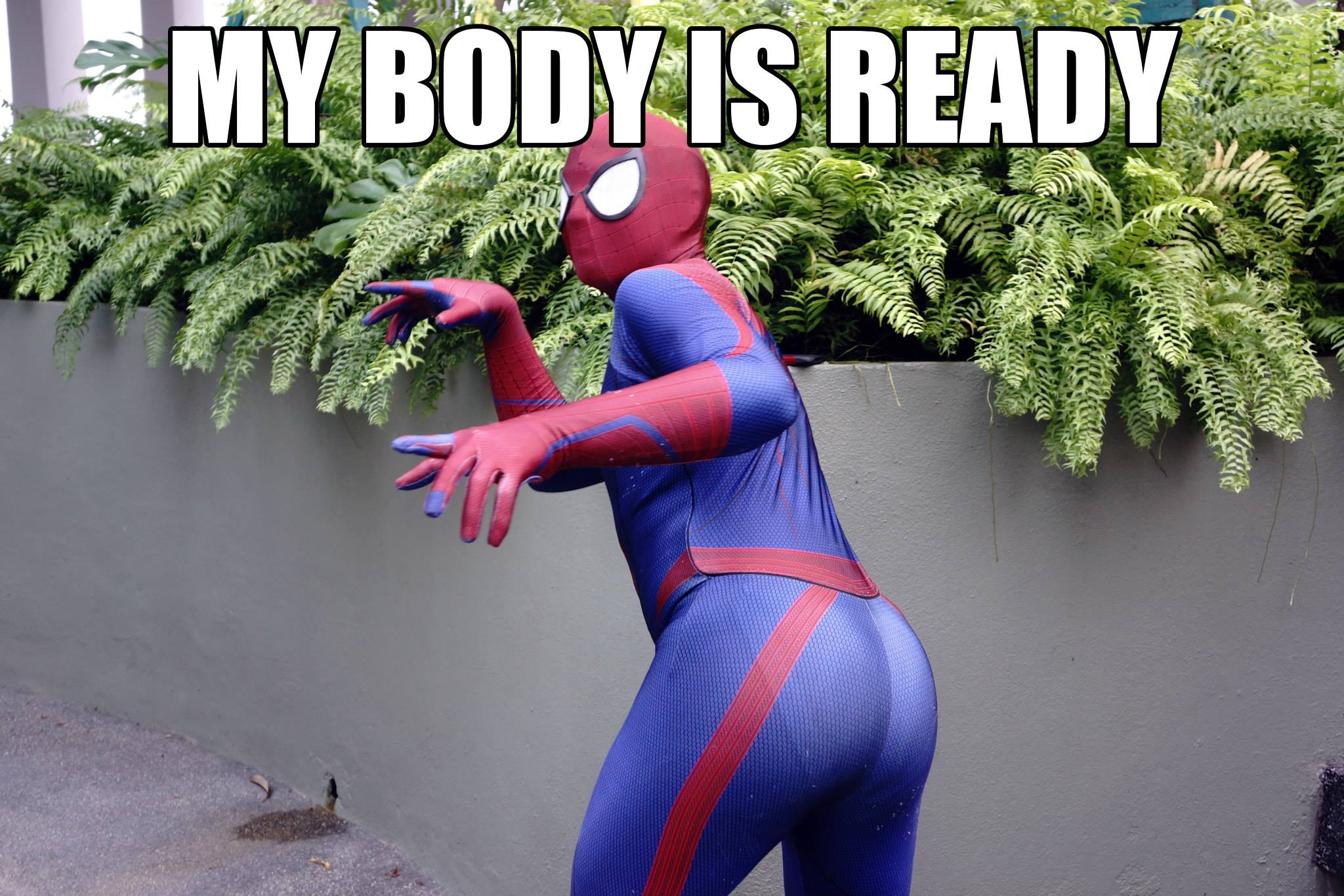 My Body Is Ready Meme Spiderman