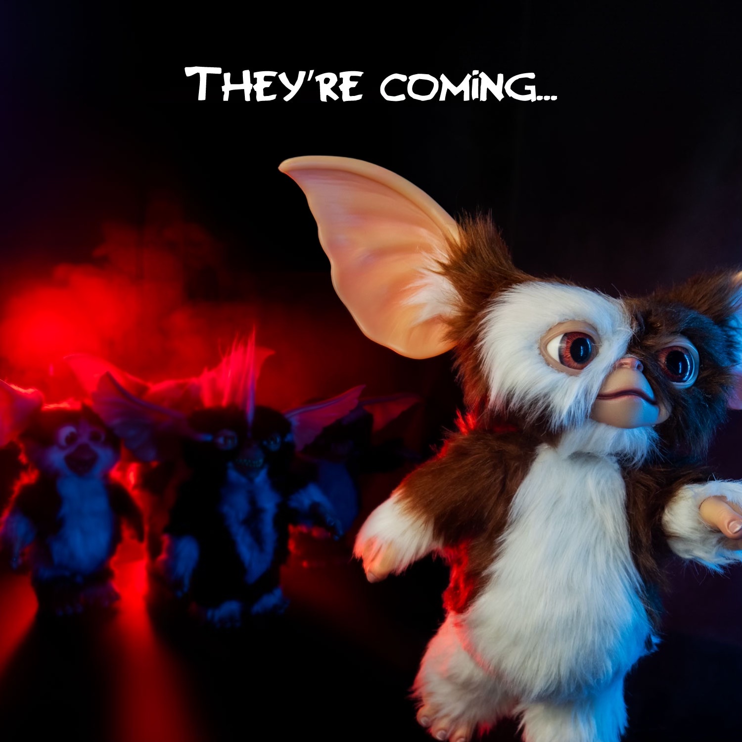 The Mogwais from Gremlins 2: The New Batch are BACK in stock!