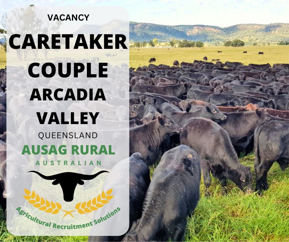 AUSAG RURAL - CARETAKER COUPLE, ARCADIA VALLEY QLD... | Facebook
