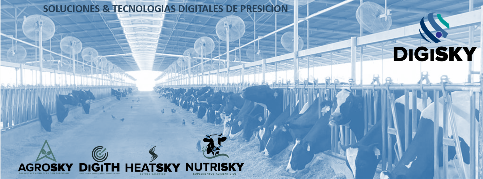 Digisky Consultoría y Tecnología | Torreón