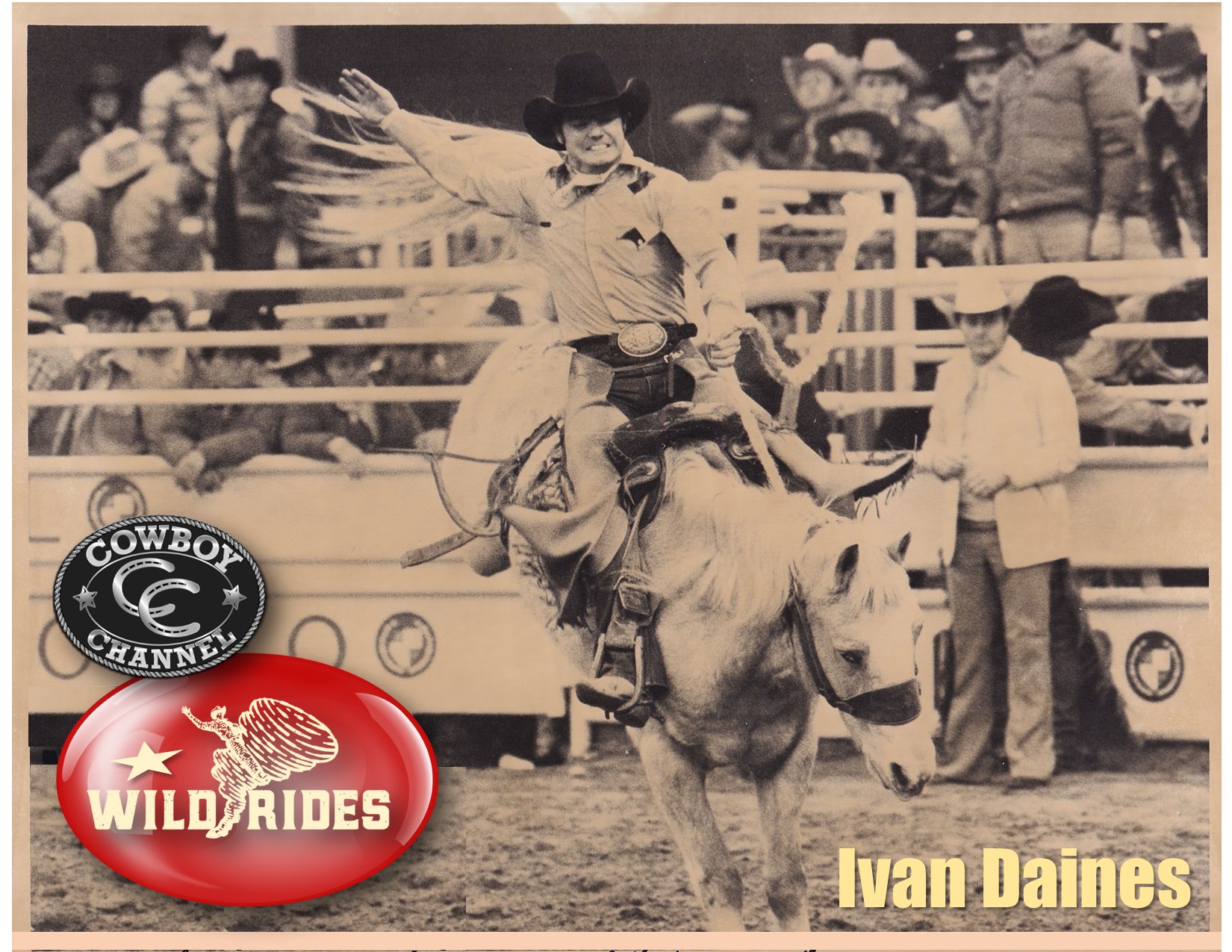 Wild - Ivan's rodeo career began with Boy's Steer Riding at local ...