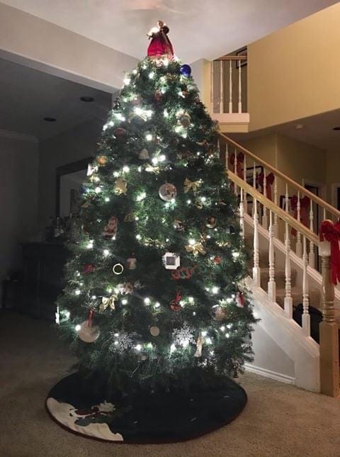 Little Z Christmas Tree Farm | West Linn OR