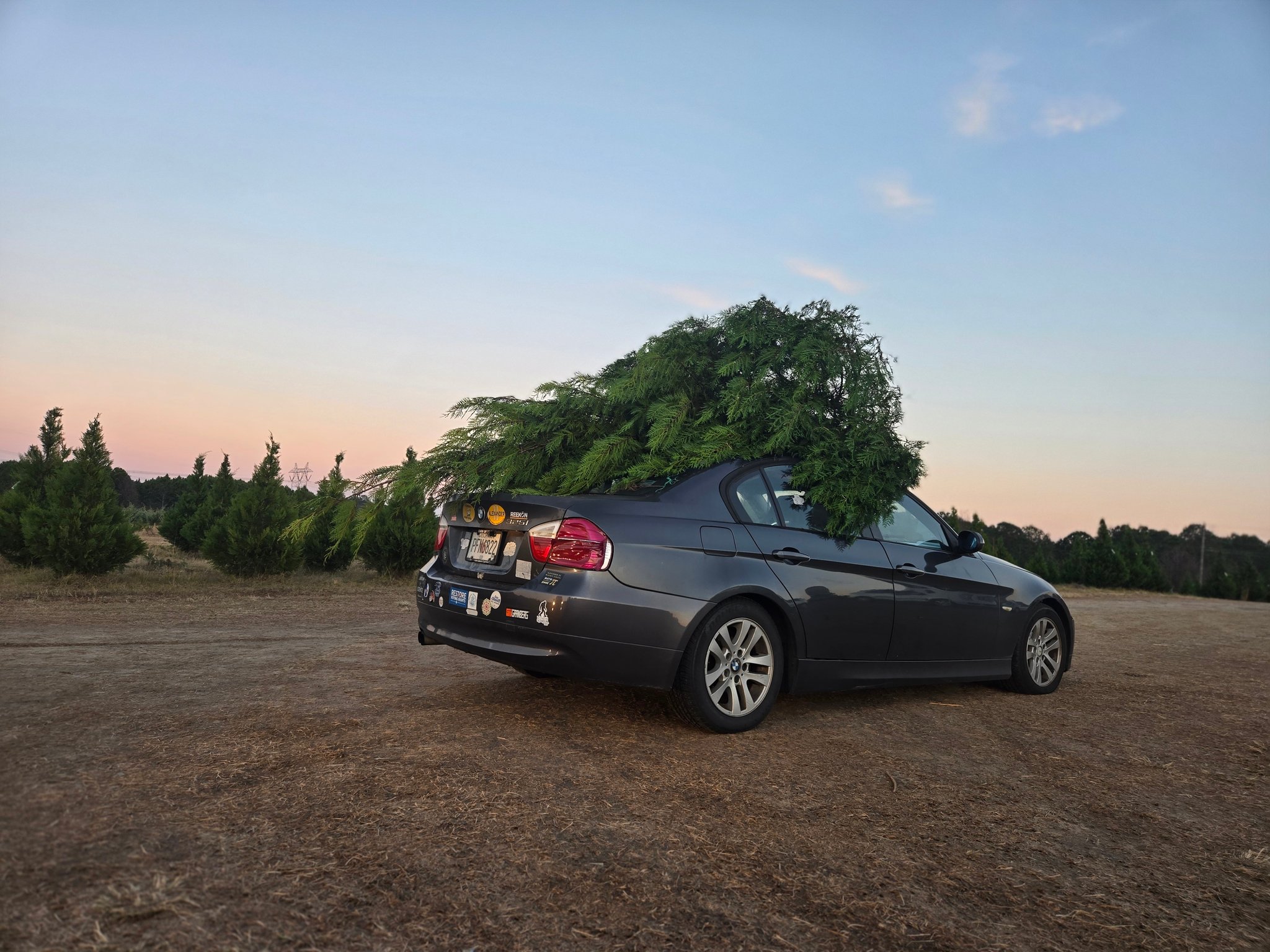 Roberts Christmas Tree Farm | Byron GA