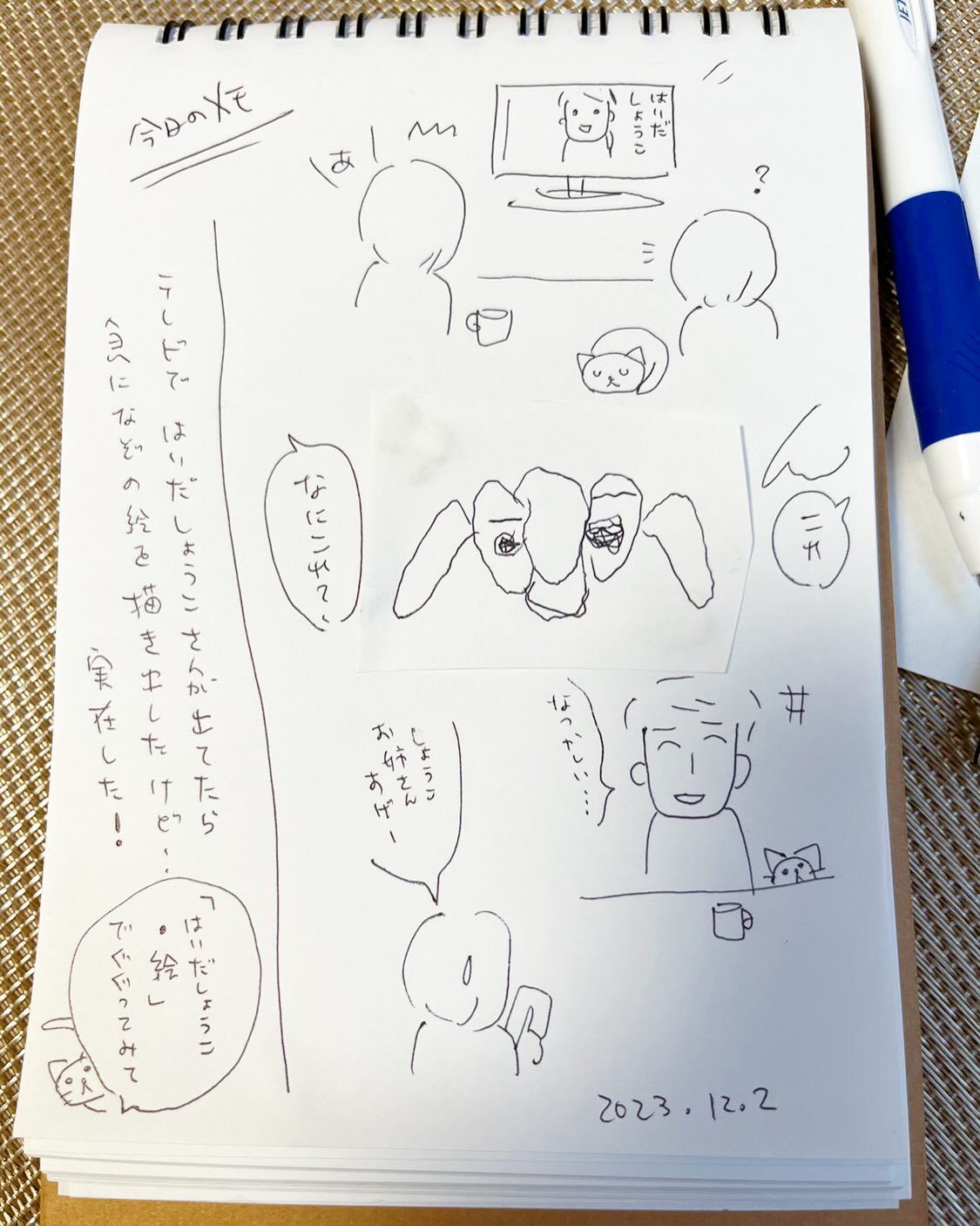 はいだしょうこ 絵