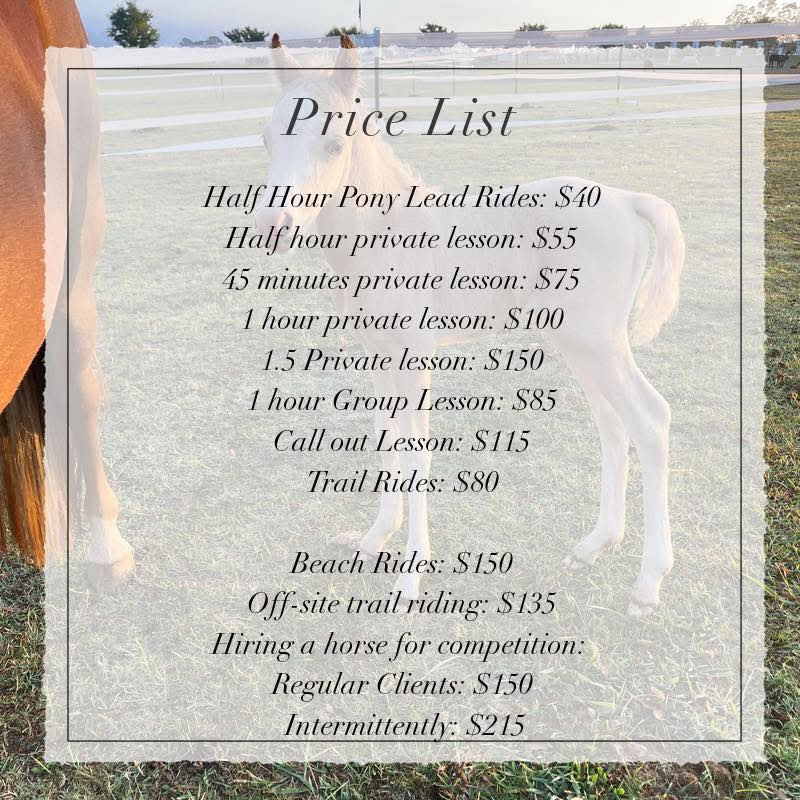 C Dale - 🤍 Bookings Now Open – C Dale Ranch 🤍 🤍Western and English ...