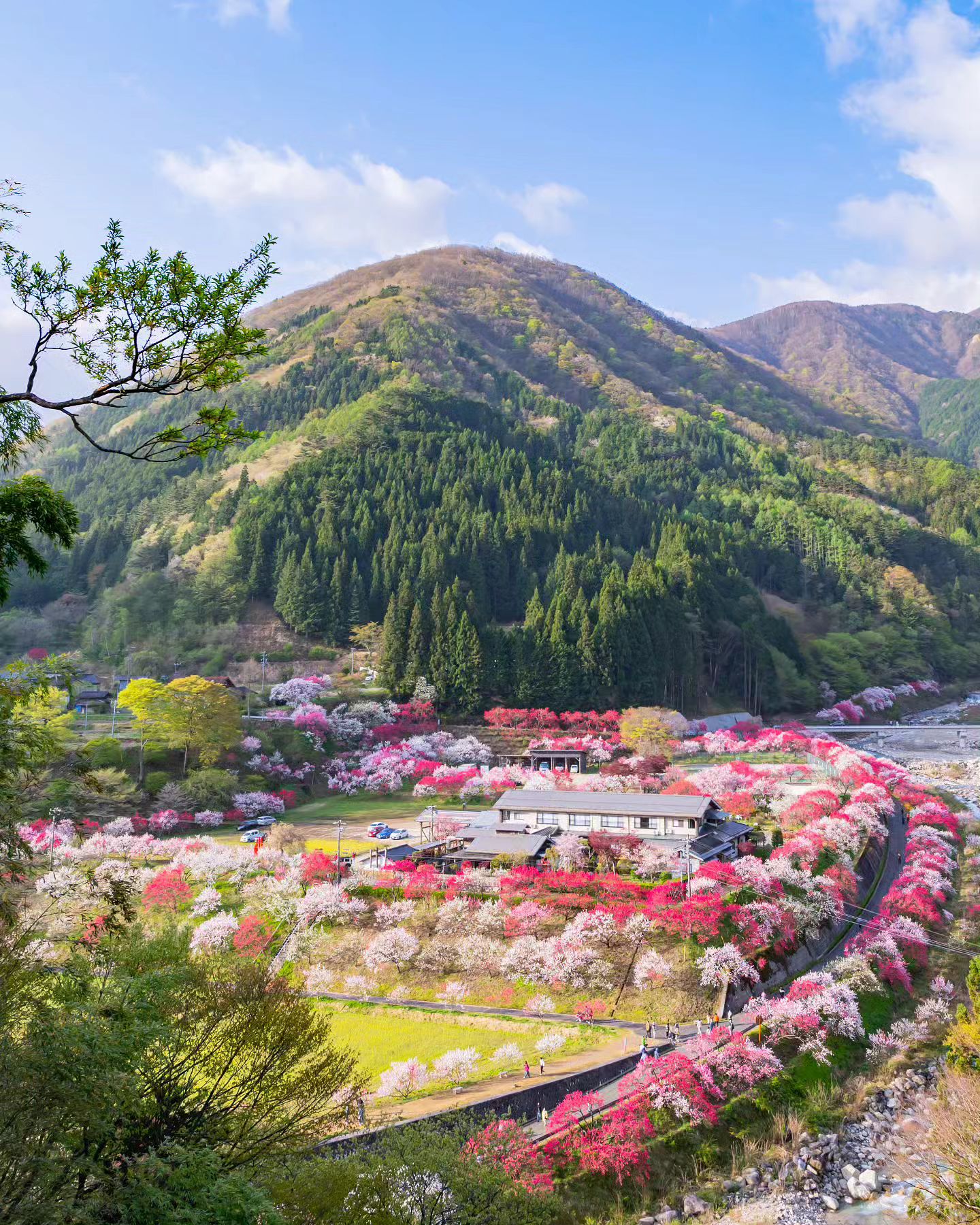Located in Nagano, Hanamomo-no-Sato beckons with its captivating