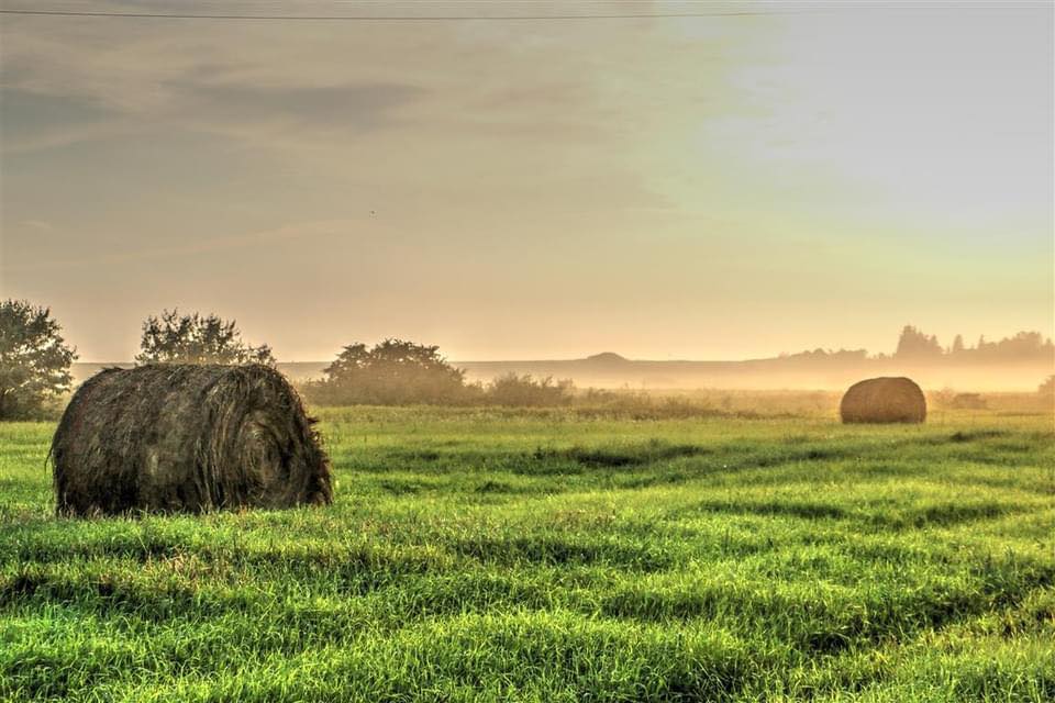 Gallery image with a fresh perspective