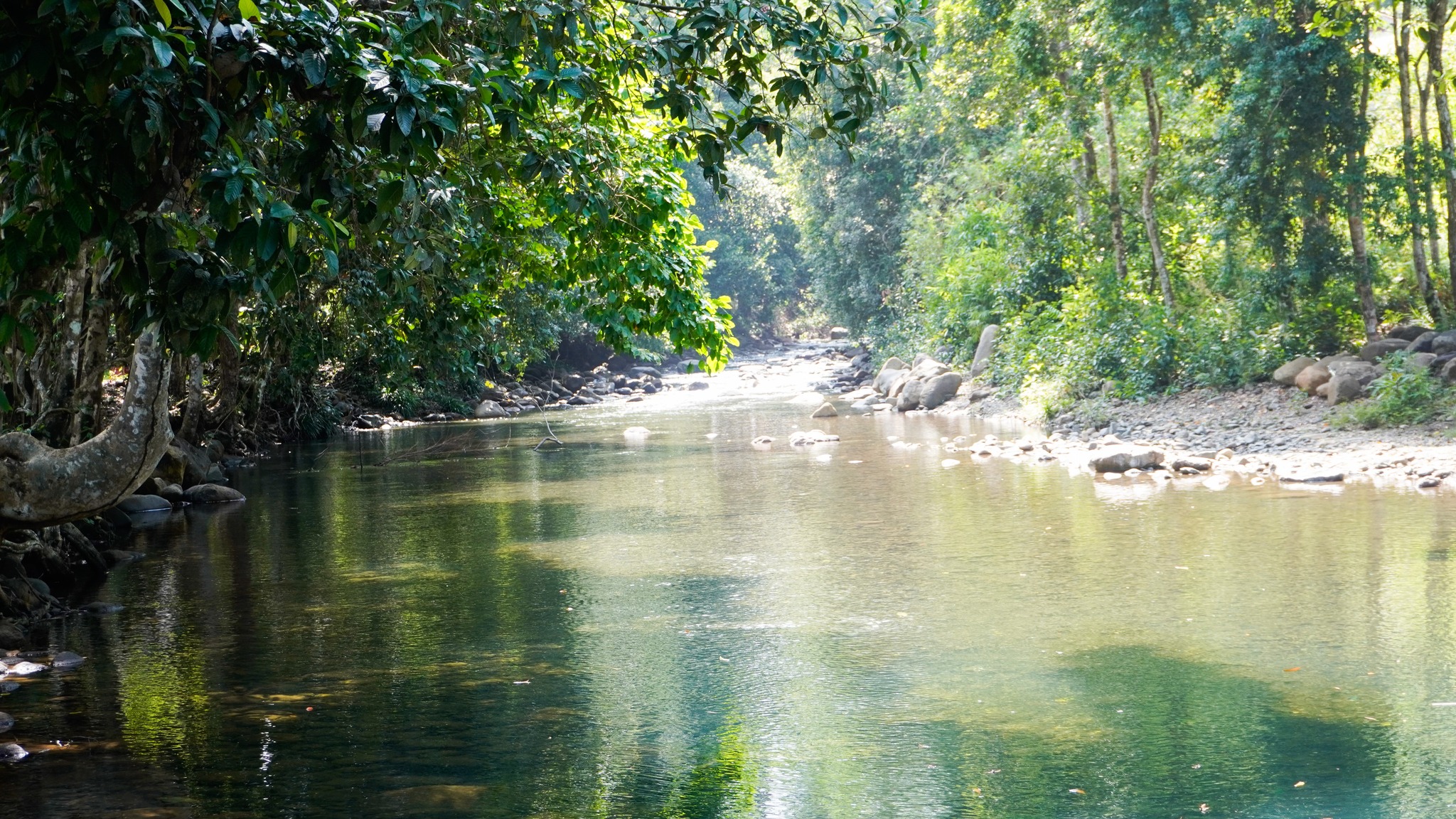 What's - Tangod Natural Falls Aborlan, Palawan Tucked quietly along the ...