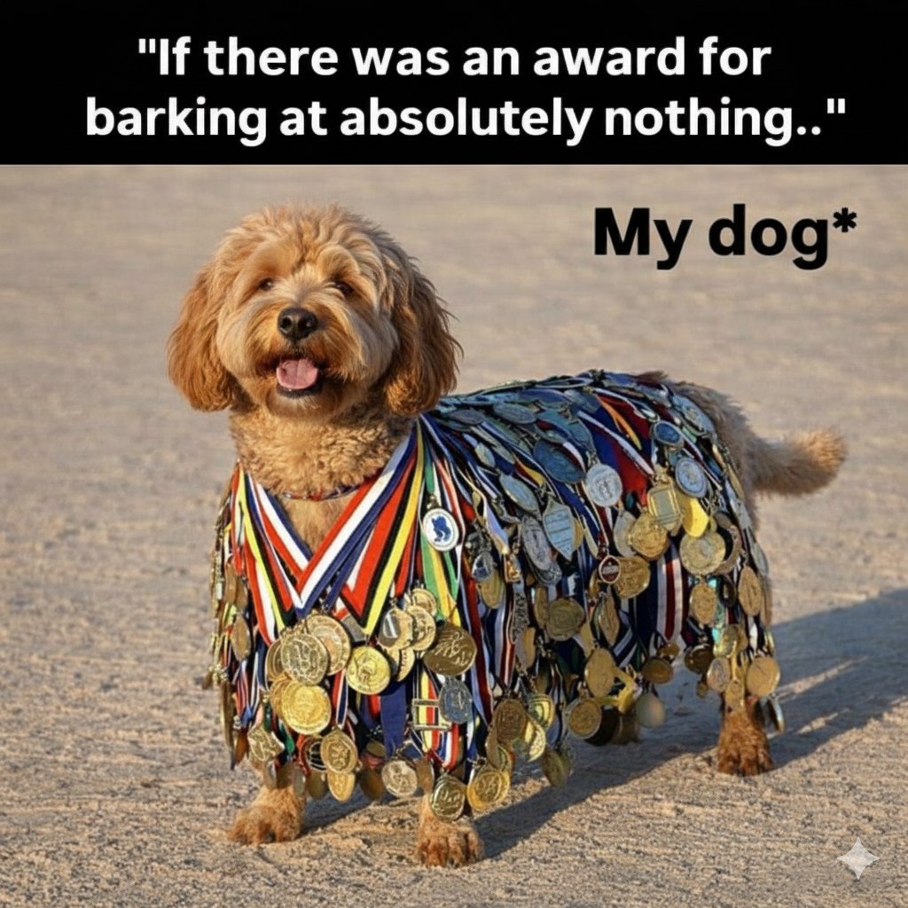 ️Life is better with Cockapoo ️ | Facebook