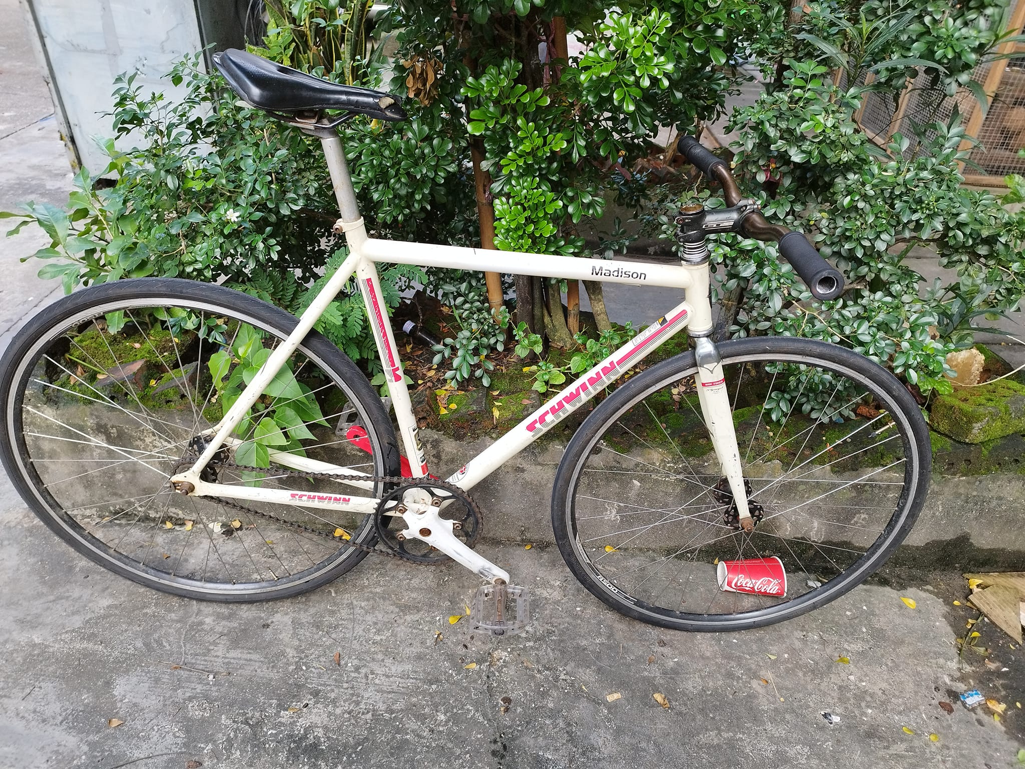 SCHWINN MADISON 2012年モデルSCHWINN QUALITY SCHWINN MADISON 2012年モデルSCHWINN QUALITY SCHWINN MADISON 2012年