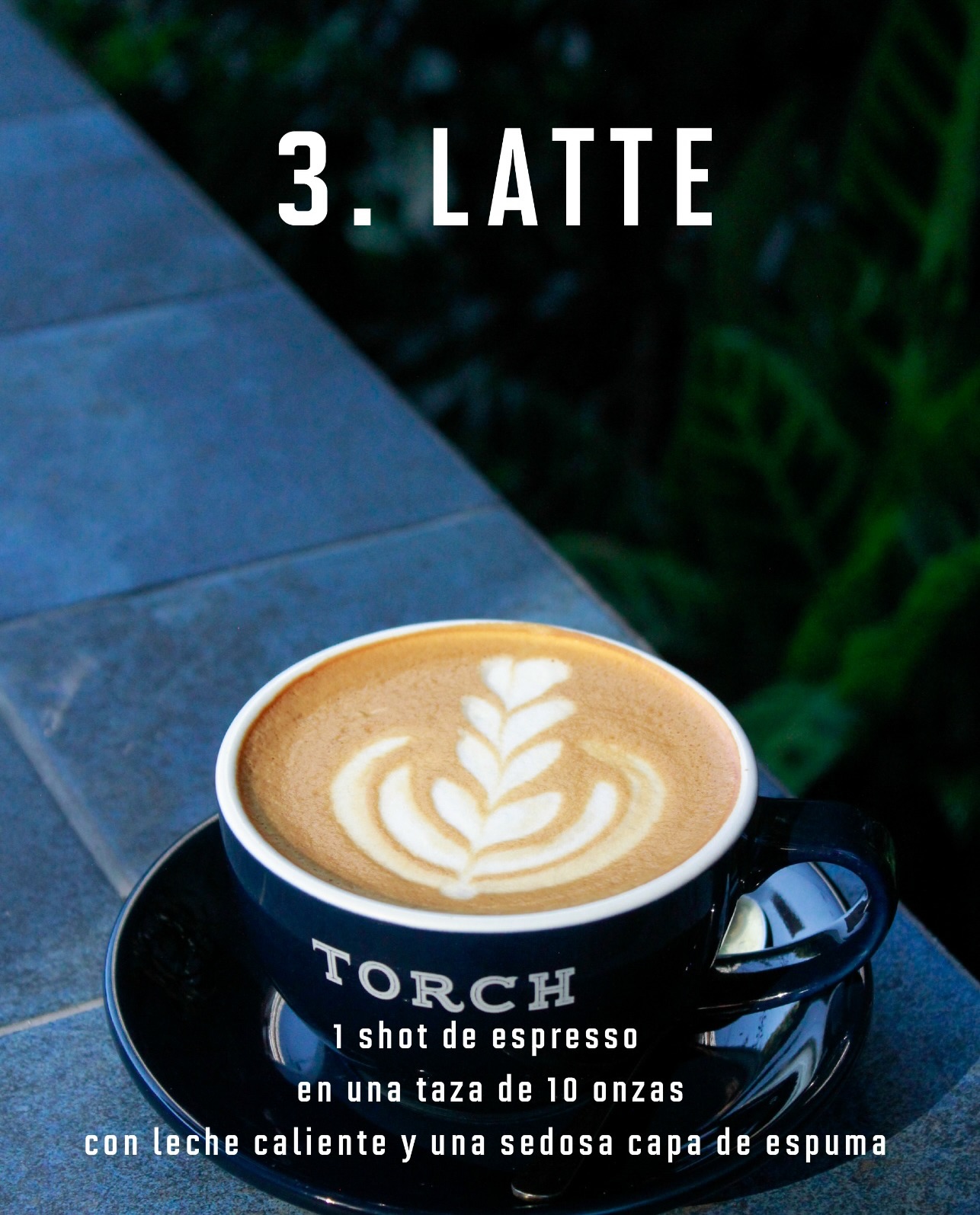 Torch Coffee Guatemala | Guatemala City