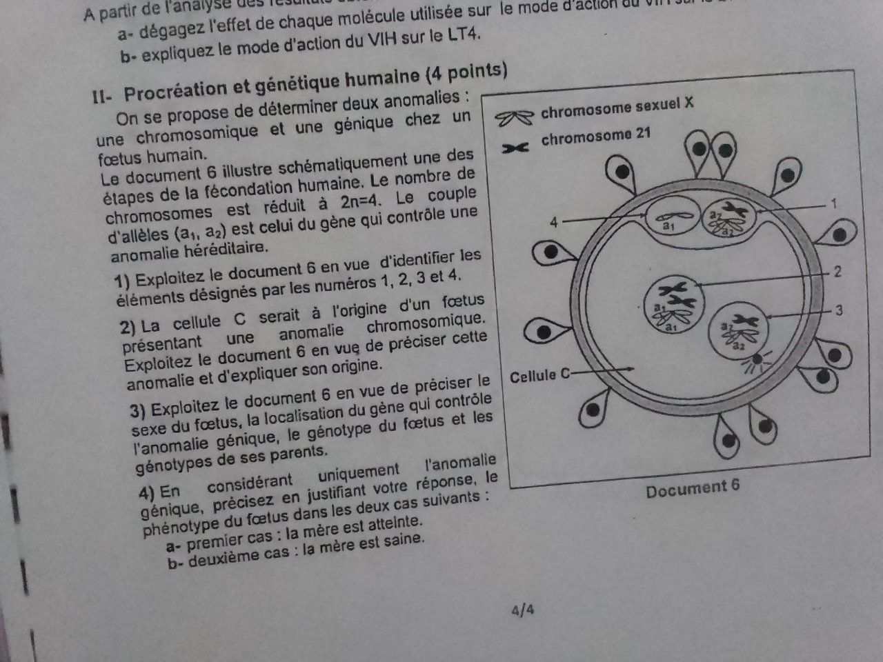 BAC SCIENTIFIQUES TN 
