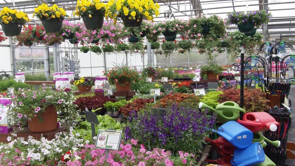 Frank Otte Nursery and Garden Center | Louisville KY