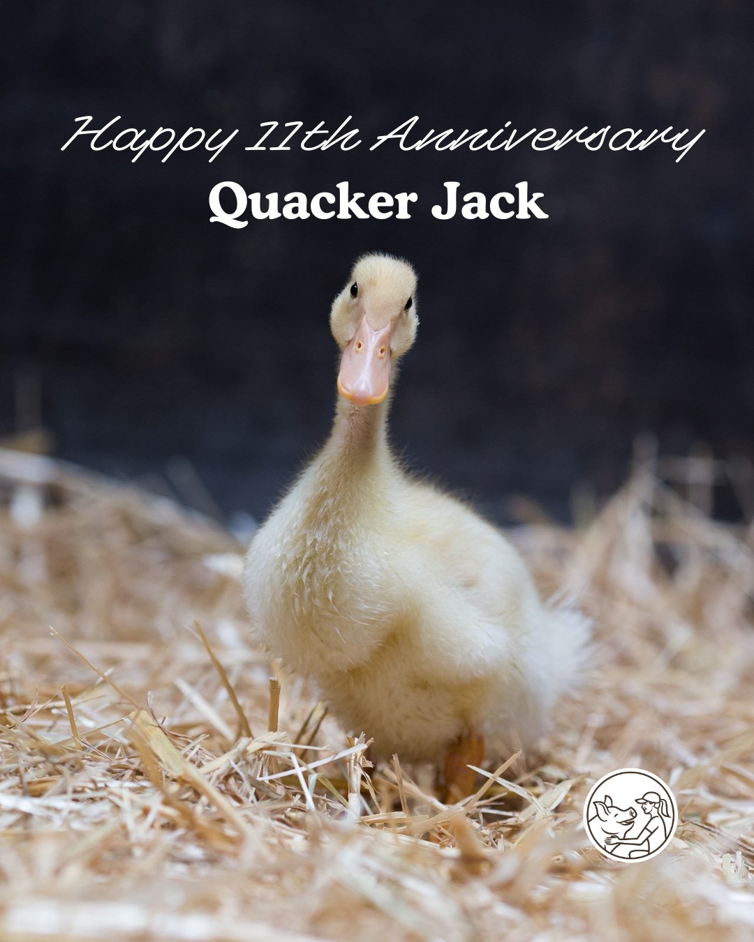 Edgar's Mission - Happy 11th Anniversary Quacker Jack!... | Facebook