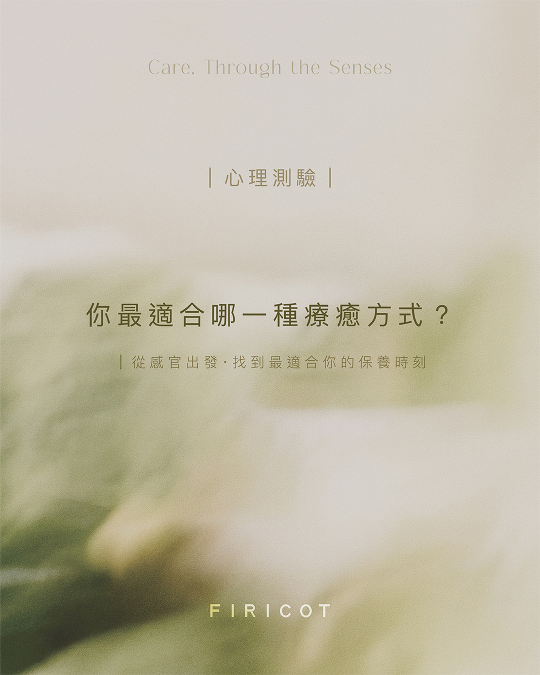 FIRICOT 杉杏 | Zhubei
