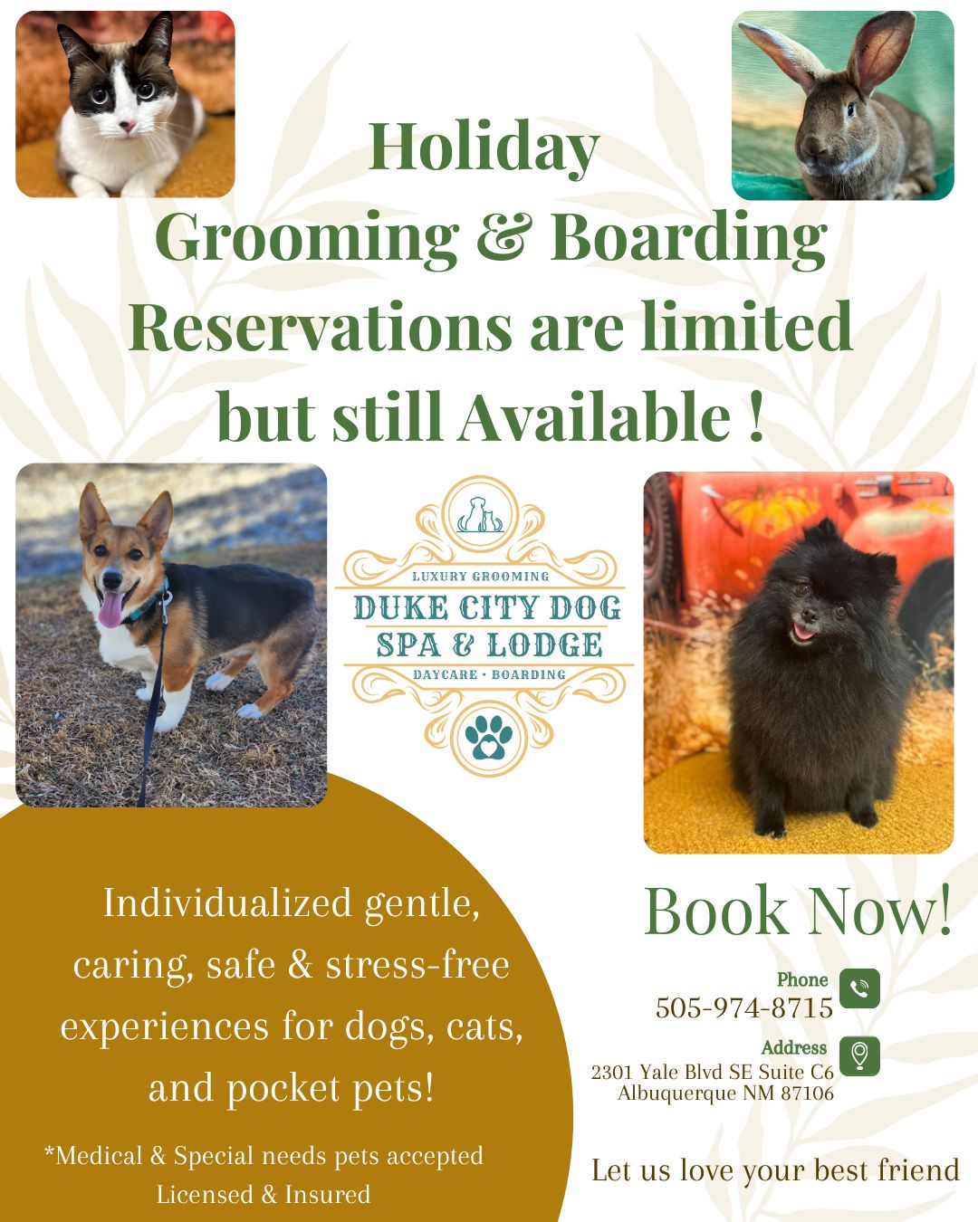 Duke City Dog Spa | Albuquerque NM