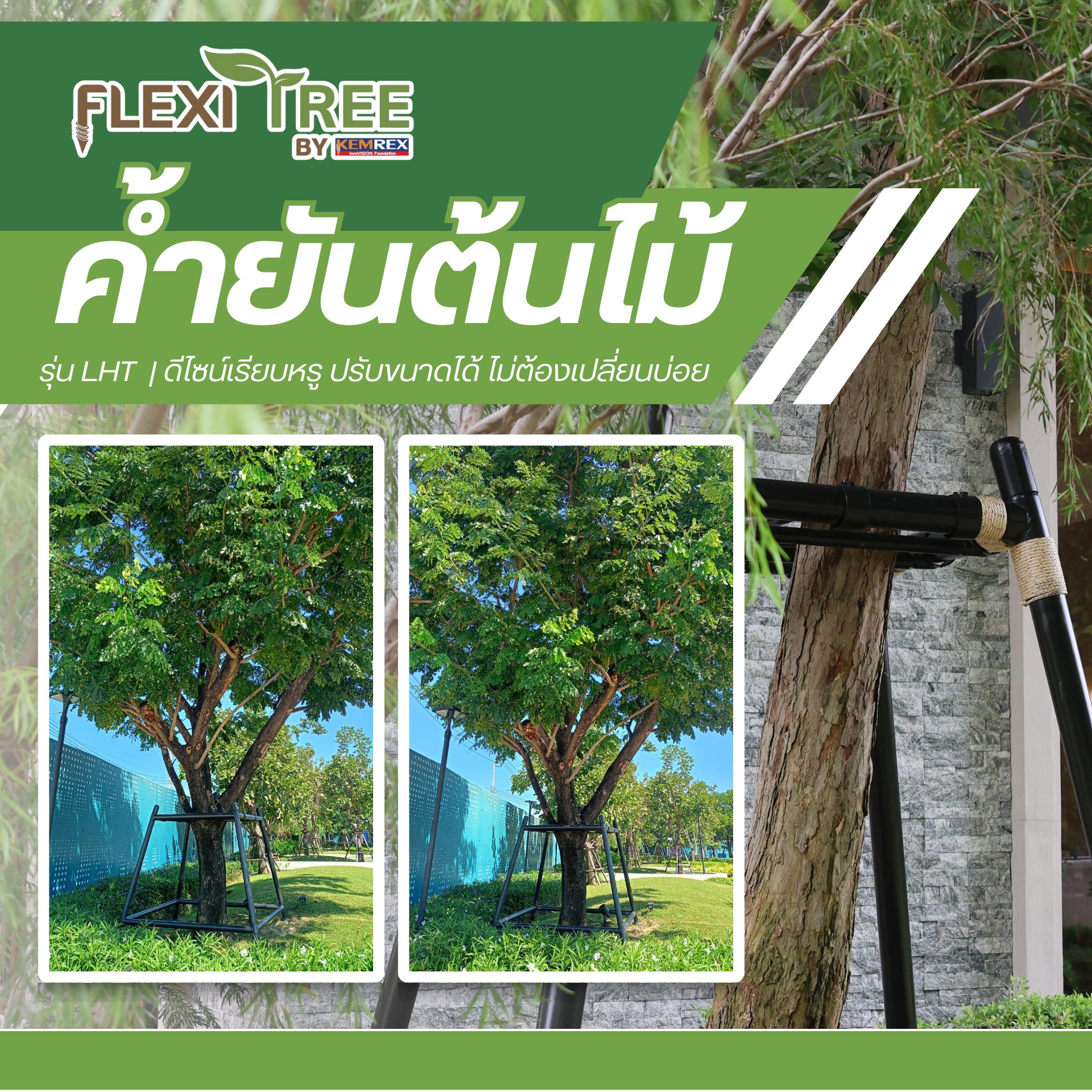 FlexiTree - หลายคนคิดว่า “กระบะปูนล้อมต้นไม้” ช่วยให้พื้นที่ดูเป็น ...