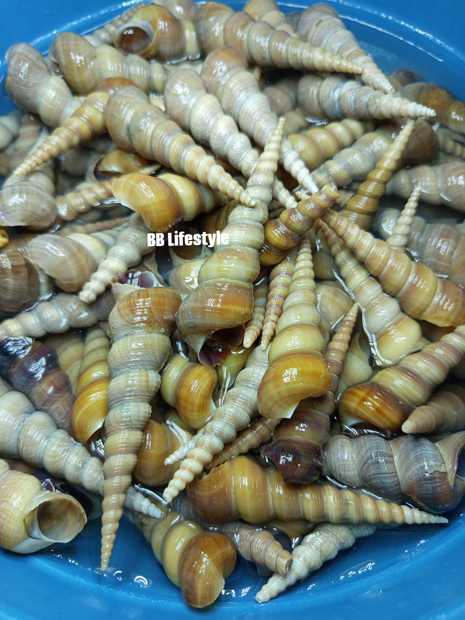 BB Lifestyle - Tabagwang sa bicol, sainyo ano tawag nito?... | Facebook