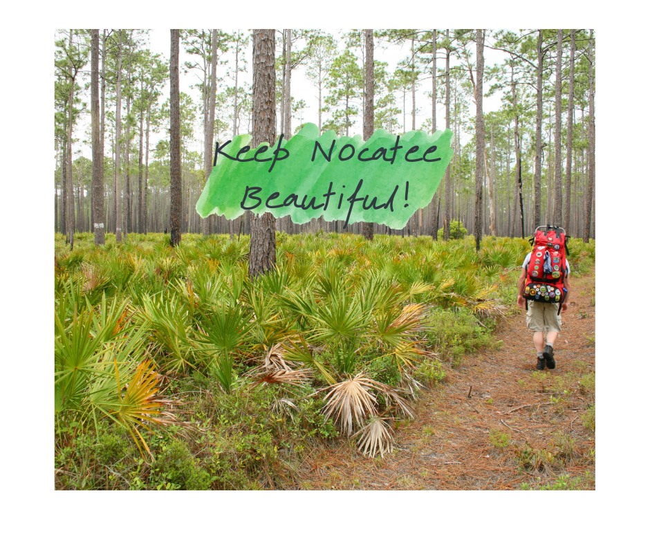 Friends of the Environment-Nocatee Group | We never saw any of this ...
