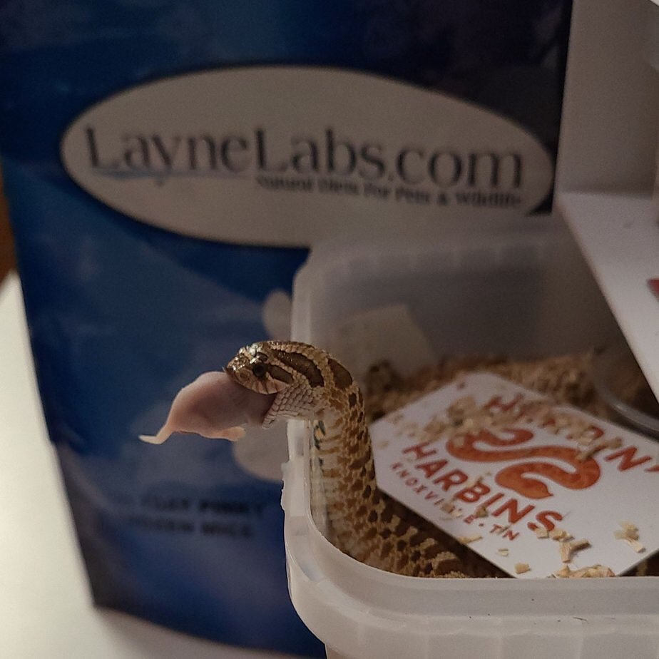 Layne Labs - laynelabs.com | Arroyo Grande CA