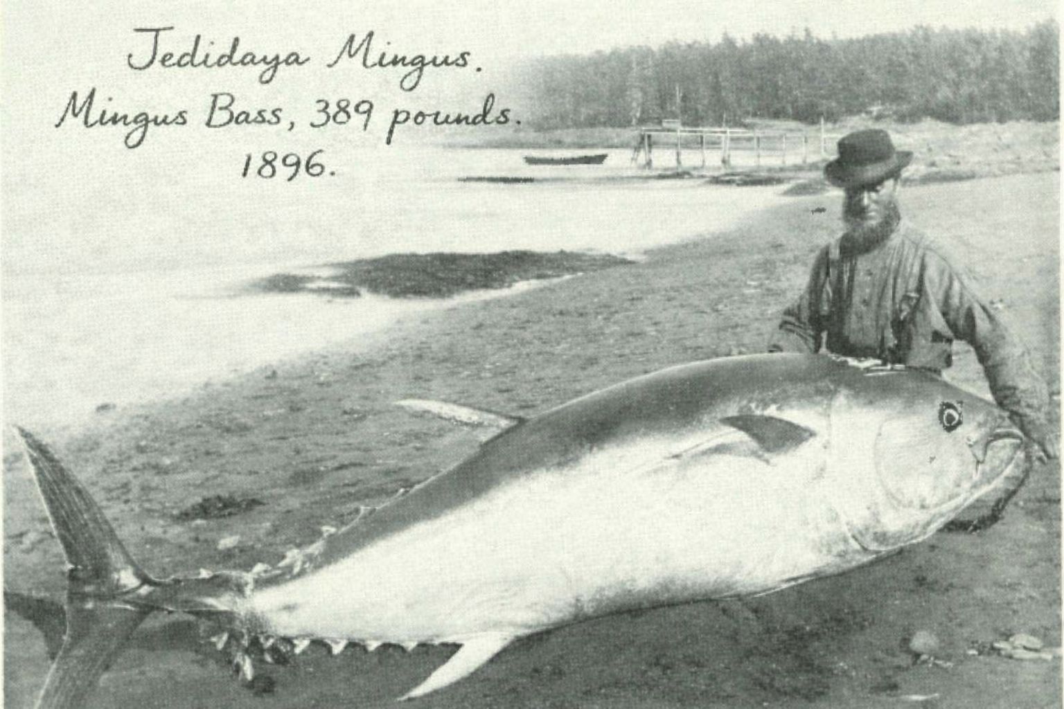 Basin - Jedidaya Mingus, pioneer and founding father of Coos Bay and ...