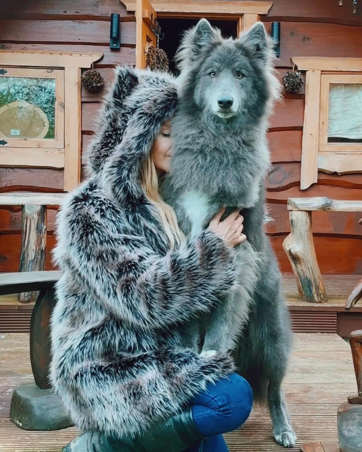 Howlin with joy faux these chilly days and wolfie prowls 