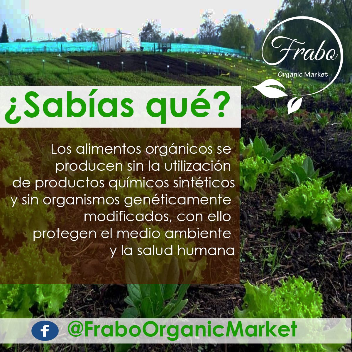 Frabo - Es importante informarnos que estamos comsumiendo... | Facebook