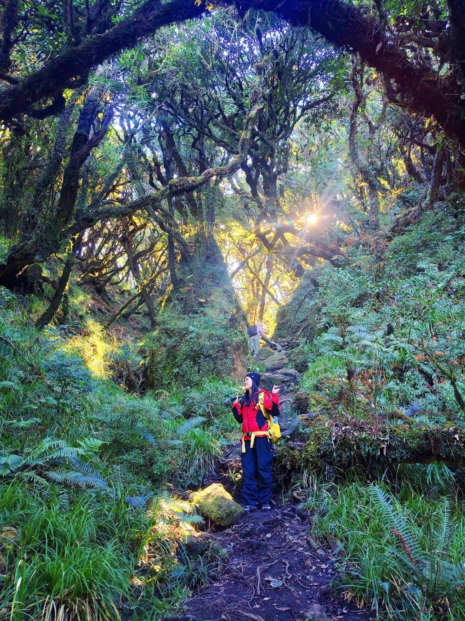TREKKING & ADVENTURE CAMPING VIETNAM 🇻🇳 | Tuyển kèo leo samu đầu tuần 7 ...