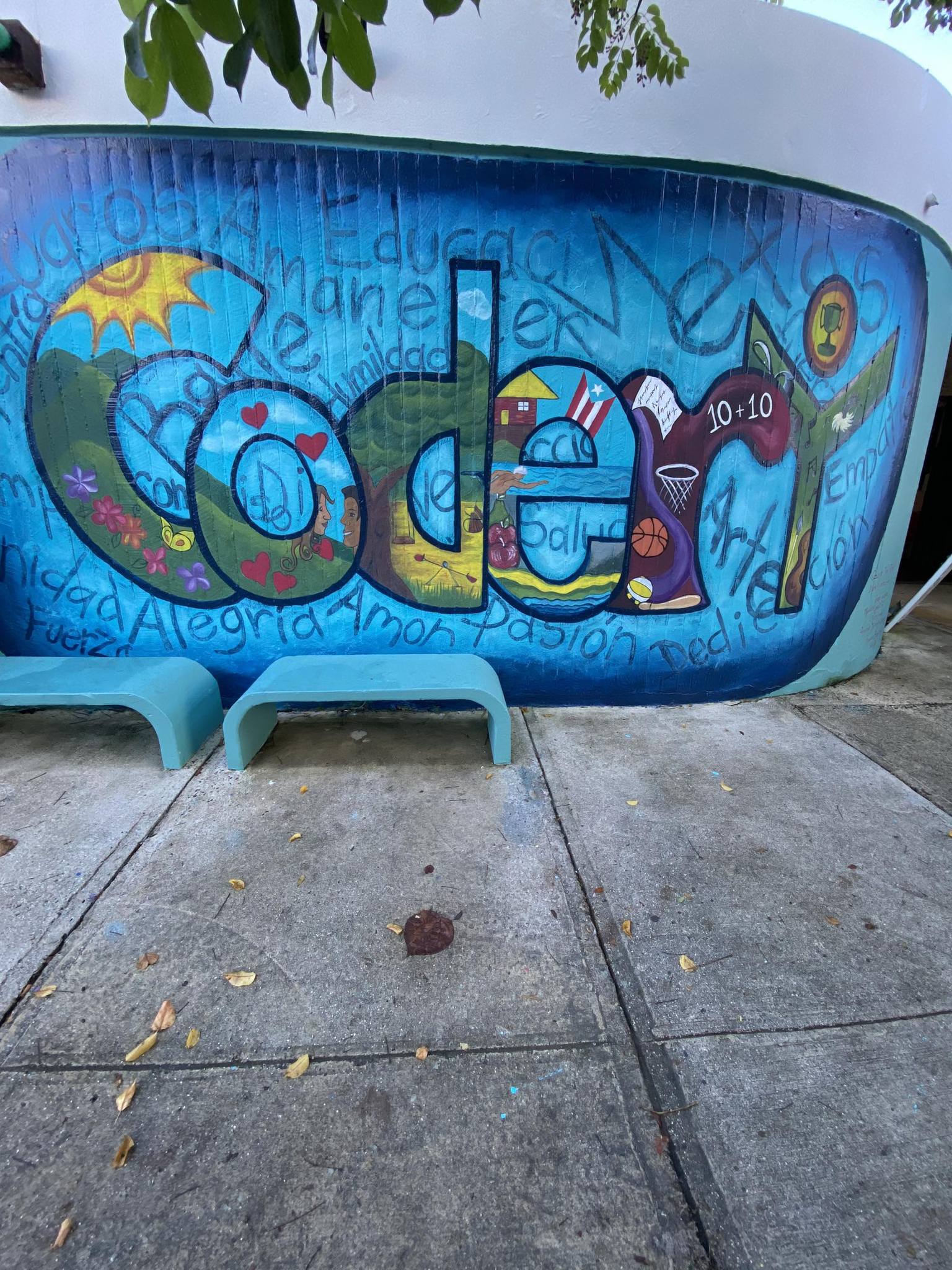 CODERI - Colegio de Educación Especial y Rehabilitación Integral, Inc ...