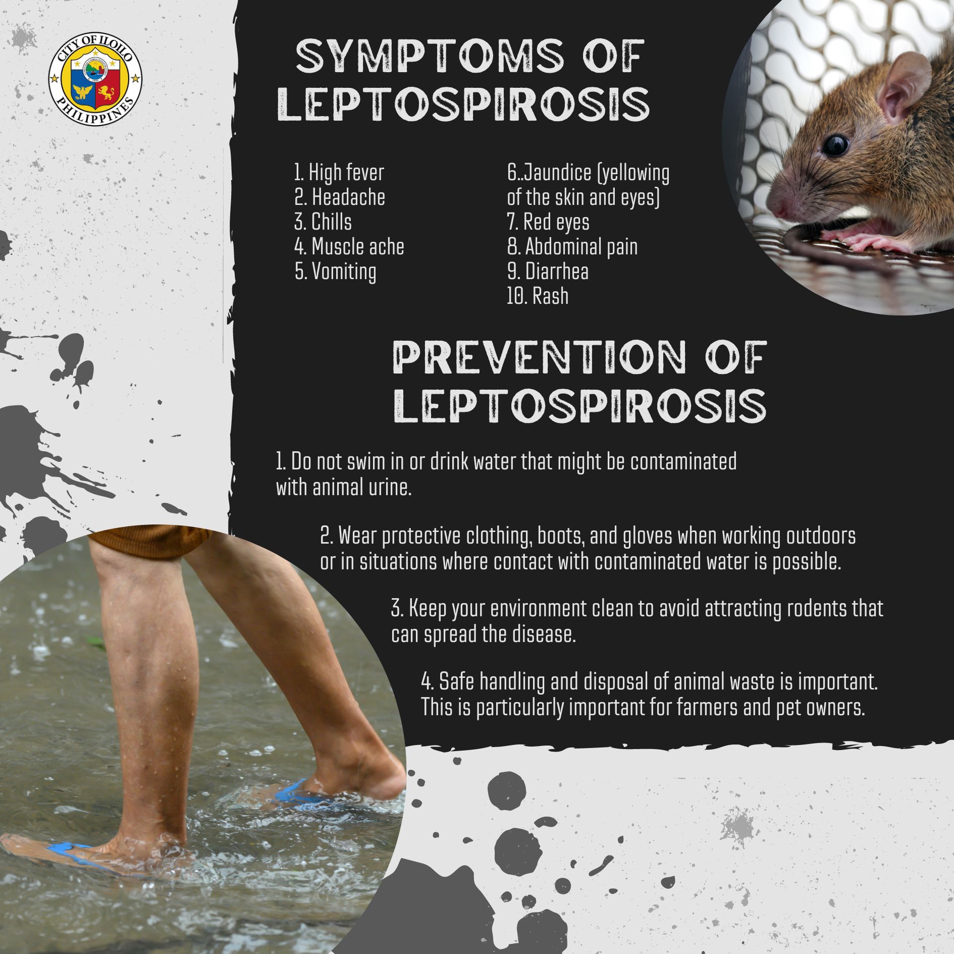 🚨 #HEALTHALERT: DISEASES DURING... - Iloilo City Government