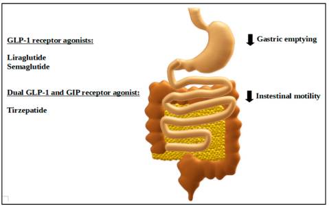 What drugs can delay gastric emptying?
