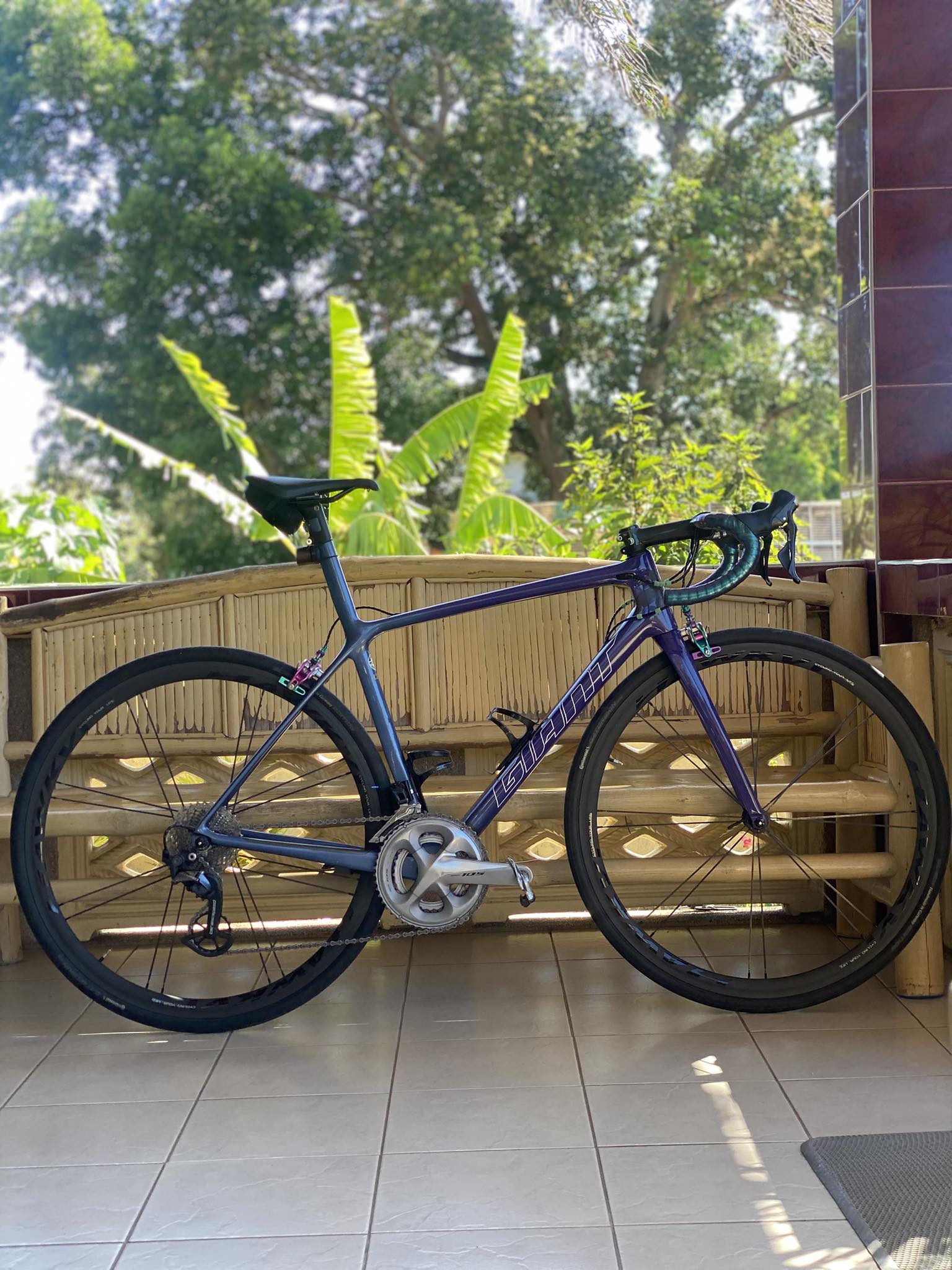 Sl 2021 Giant Tcr Rim Brake Frameset Giant TCR Advanced SL 2021 