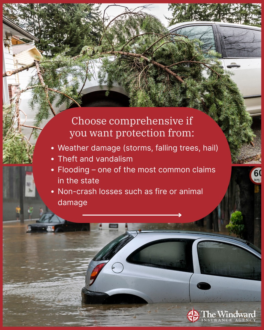 Windward Insurance Agency | Boca Raton FL