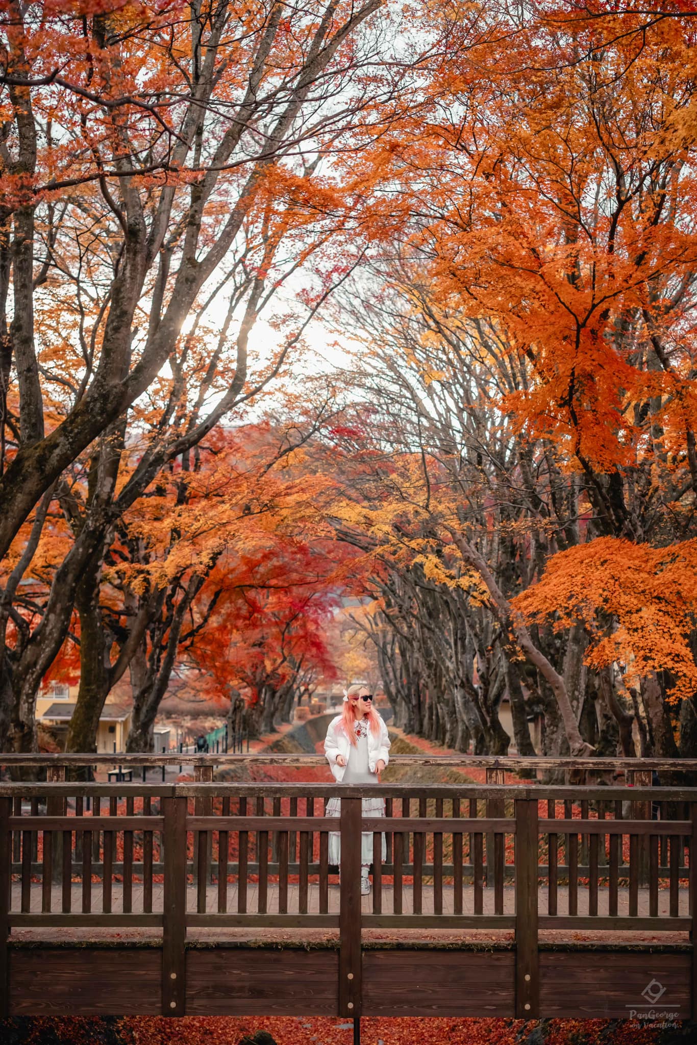 🇯🇵🍁Maple Corridor,... - PG on Vacation : แป้งจ๊อดออนเวเคชั่น | Facebook