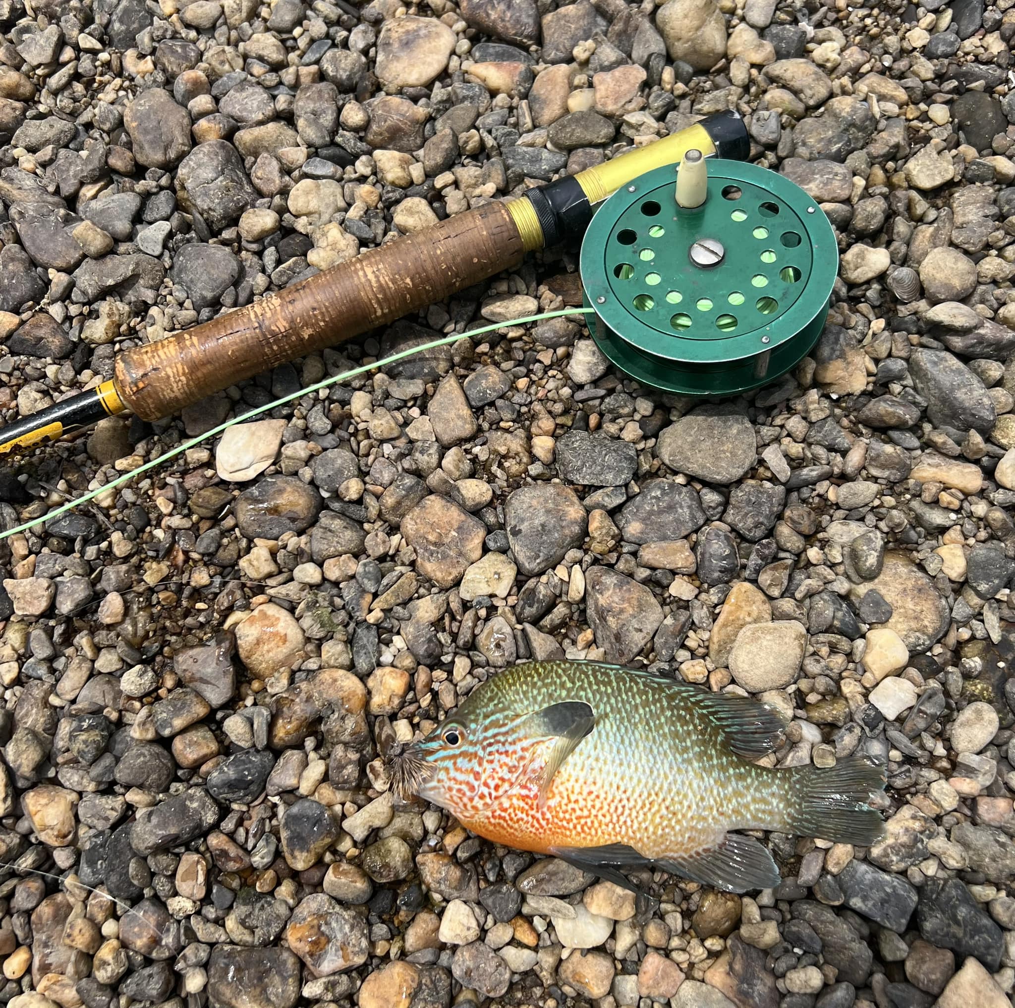 best fly reel for panfish Amazon Sellers: Best Fishing Reels 4 Best Fly Rods For