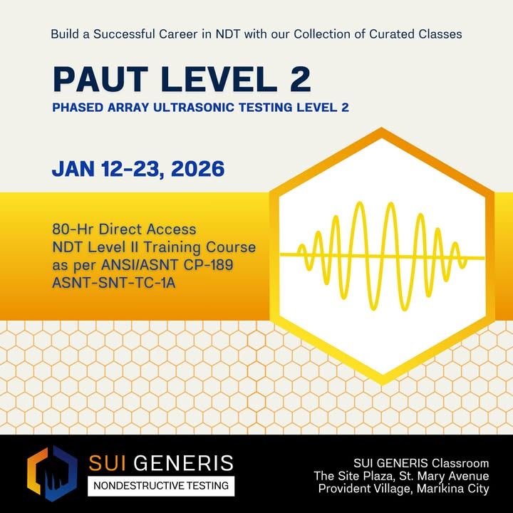 Sui Generis NDT