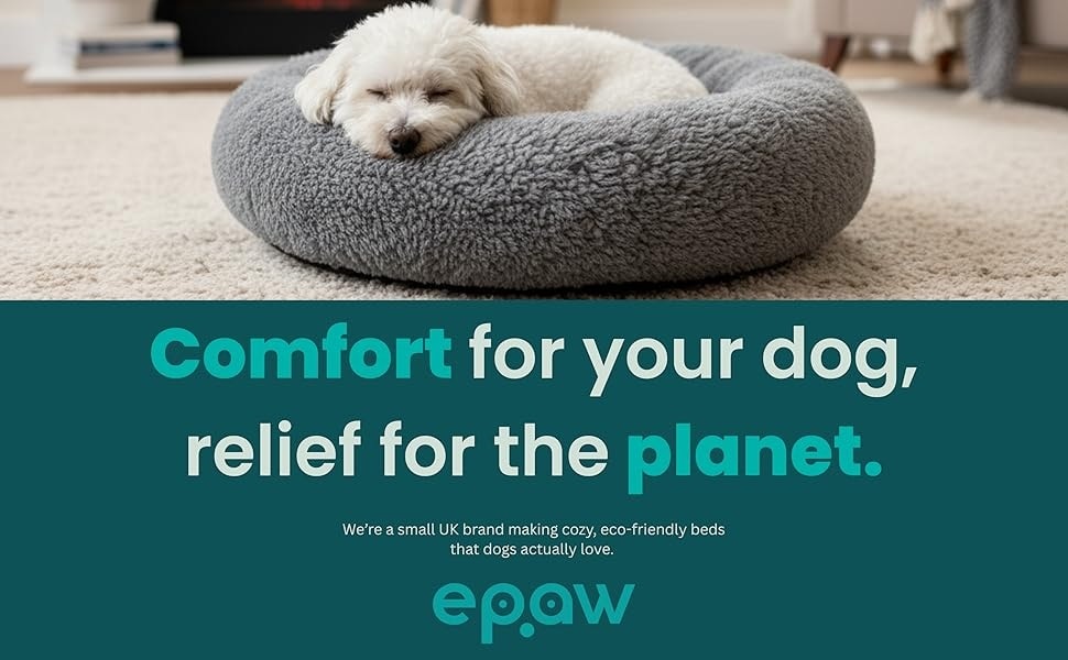 📣 It's Christmas ⛄🎁 And we've got... - Roaming Dogs Rescue | Facebook