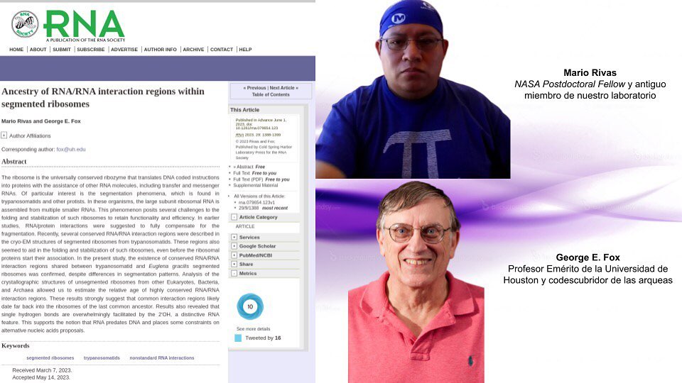 Origen - #nuevoarticulo #RNA El Dr. Mario Rivas es biólogo por parte de ...