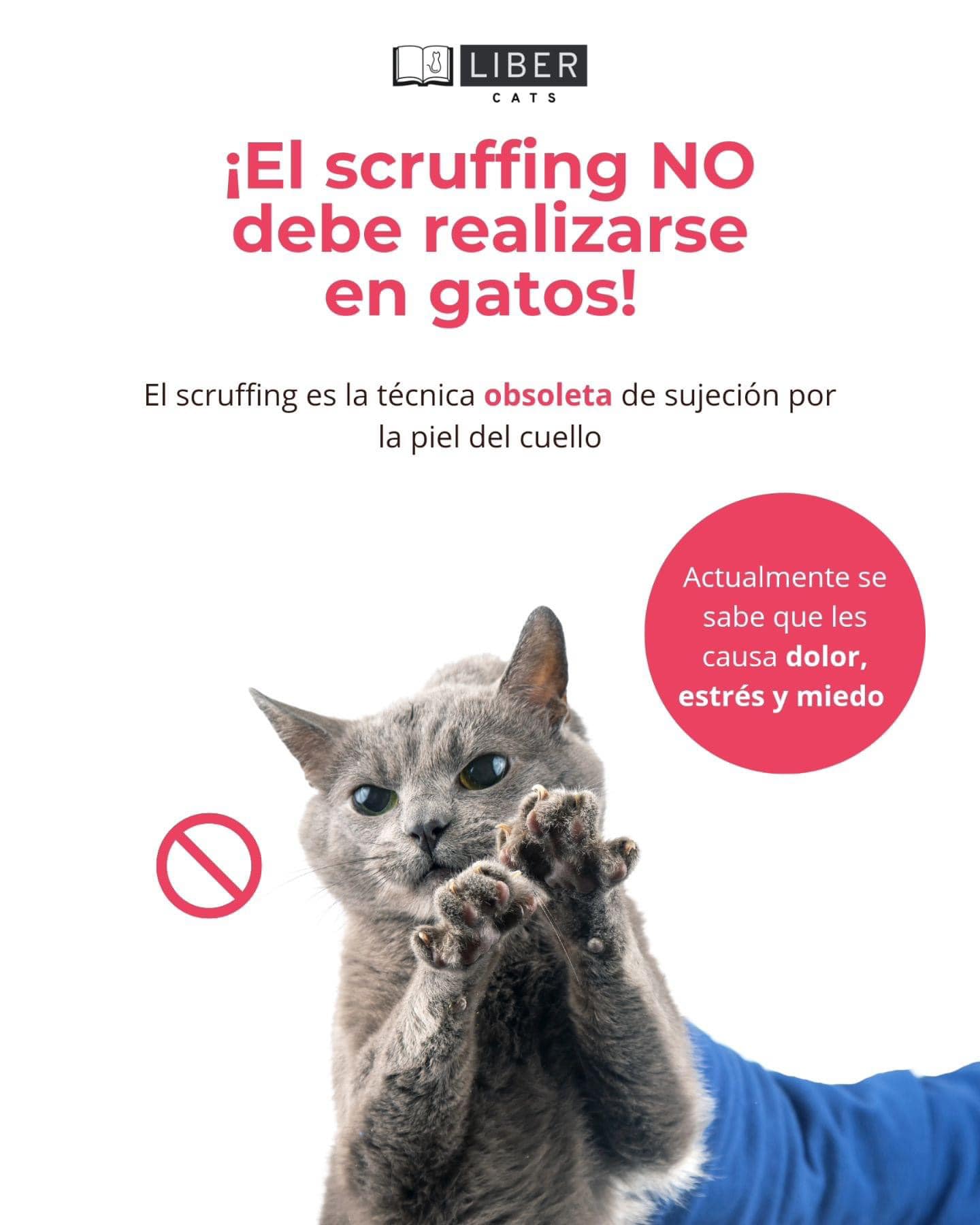 Sabías que… El scruffing es una... - Animal Cells Biotherapy