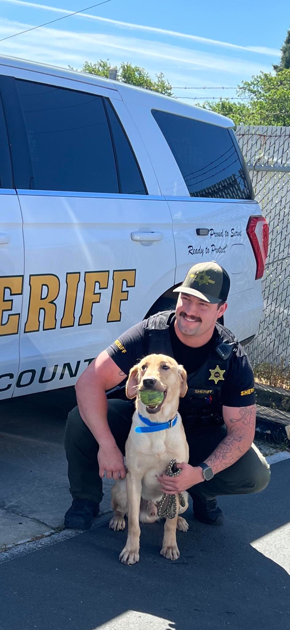 Meet Milo. Milo is the... - Amador County Sheriff's Office