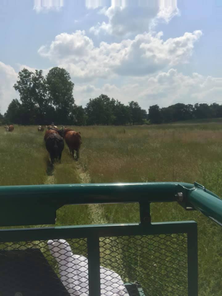 Deep Roots Ranch, LLC | Chelsea MI