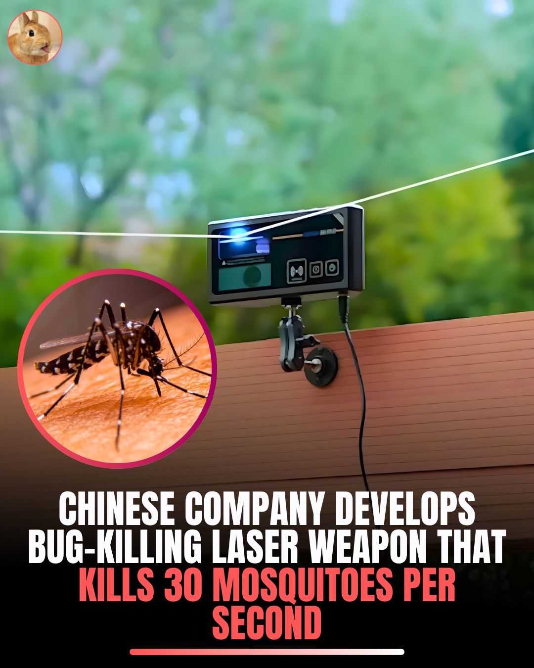 Surveee - A Chinese company’s new laser weapon kills 30 mosquitoes per ...